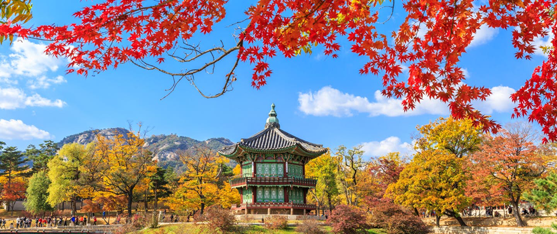 South Korea Image 3