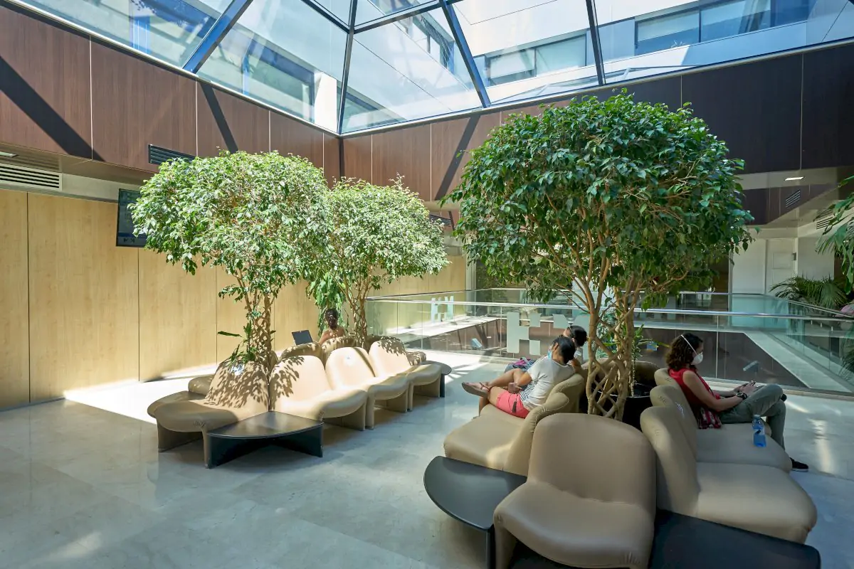 Hospital Universitario HM Sanchinarro - Image 2