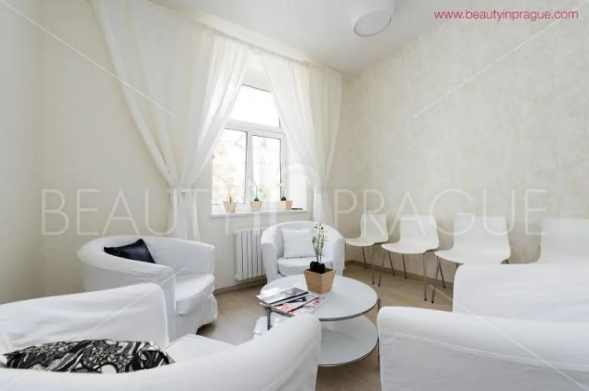 Beauty in Prague - Image 2