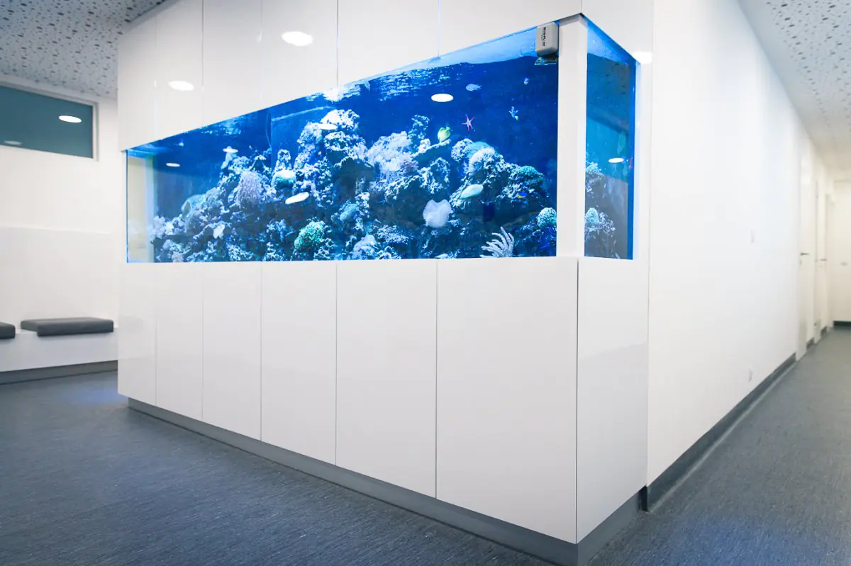 Dental Care Center Black Swan - Image 3