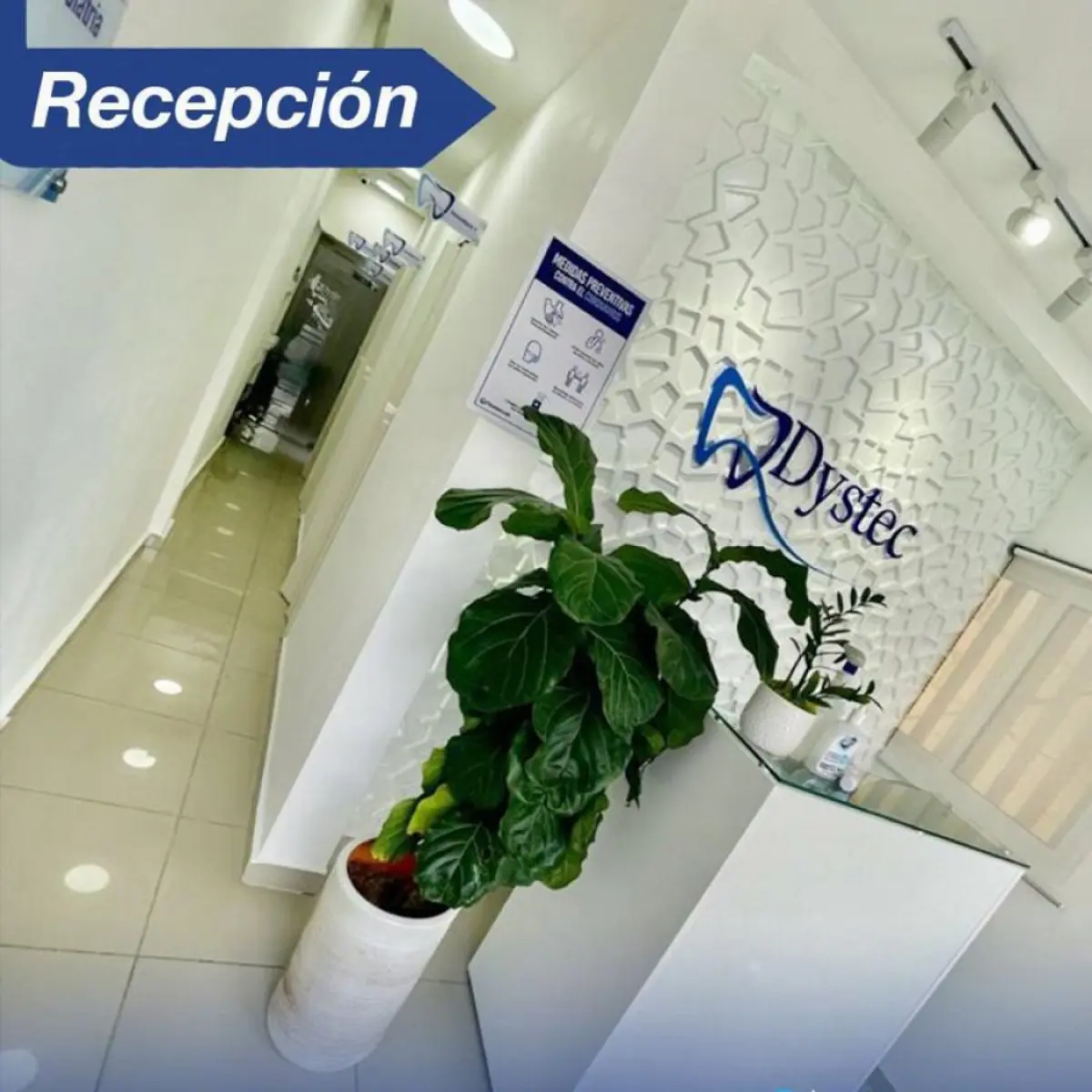 Dystec Dental Clinic - Image 2