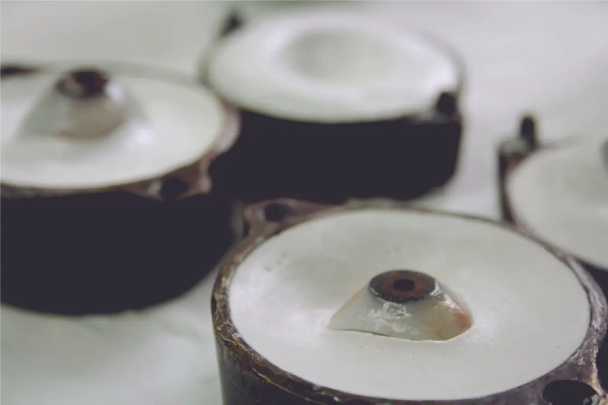 John Pacey Lowrie LTD - Image 3