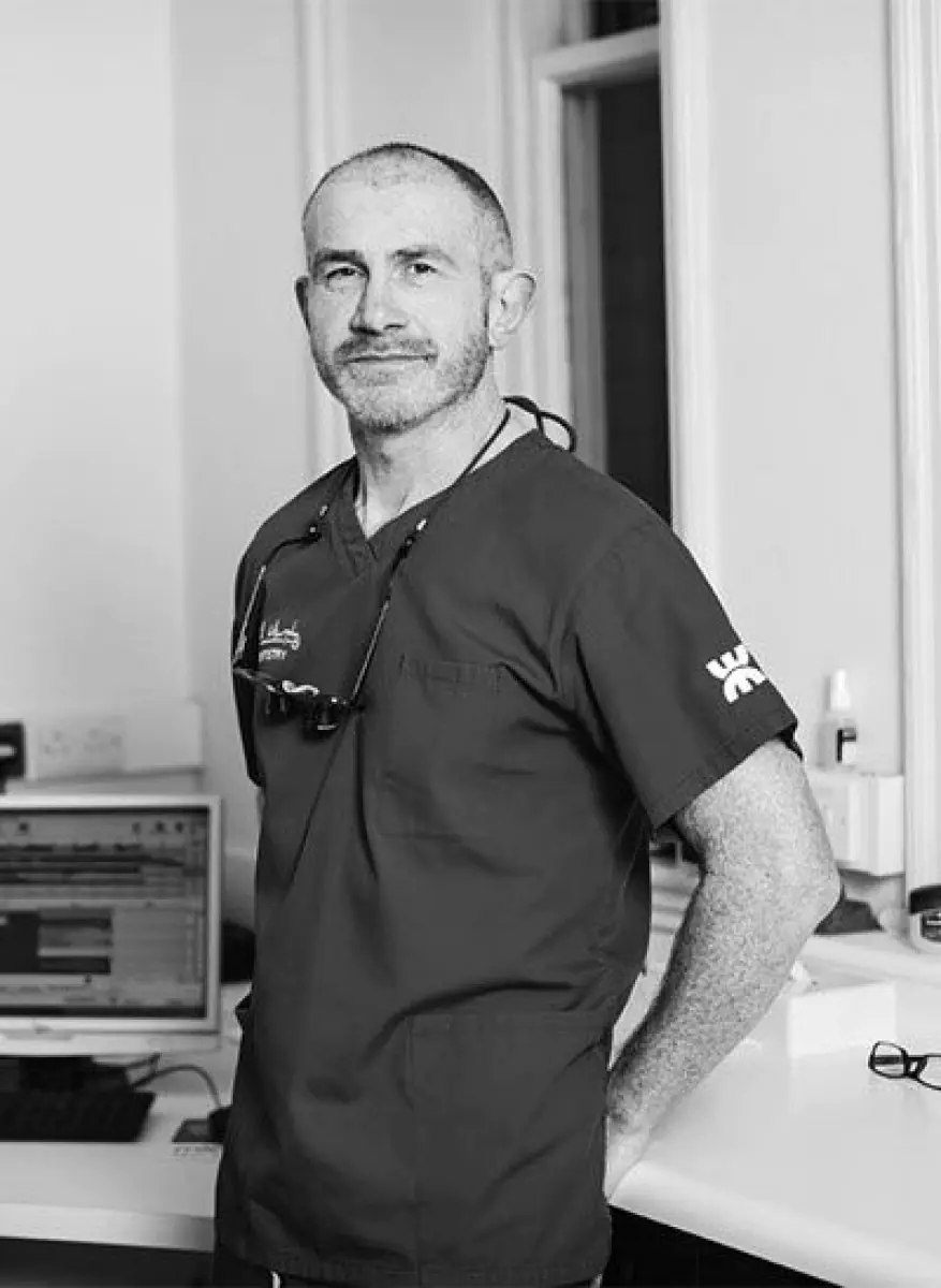 Will Murphy Dentistry - Image 1