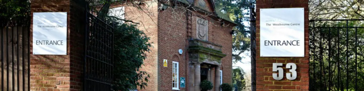 Hiroshi Nishikawa - Image 1