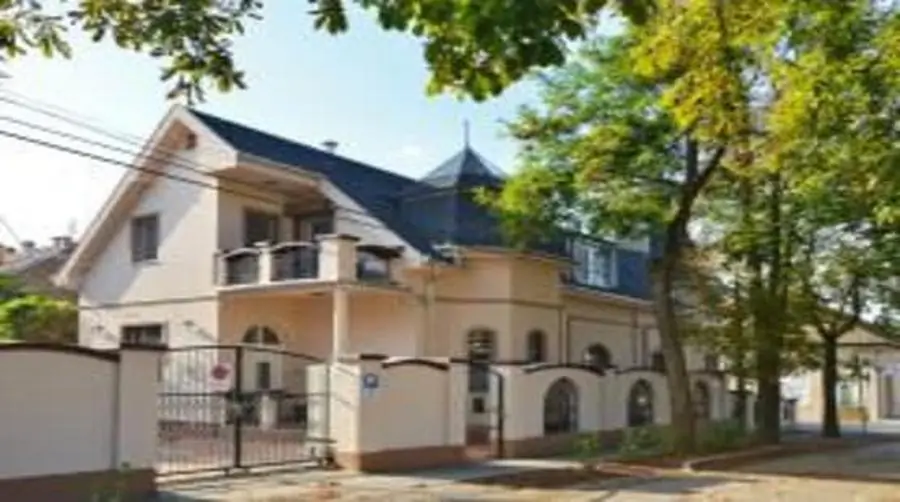 British Hungarian Medical Service - Image 2