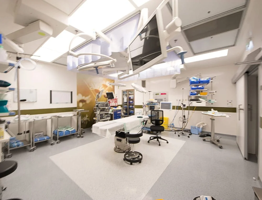 Saudi German Hospital Dubai - Image 2