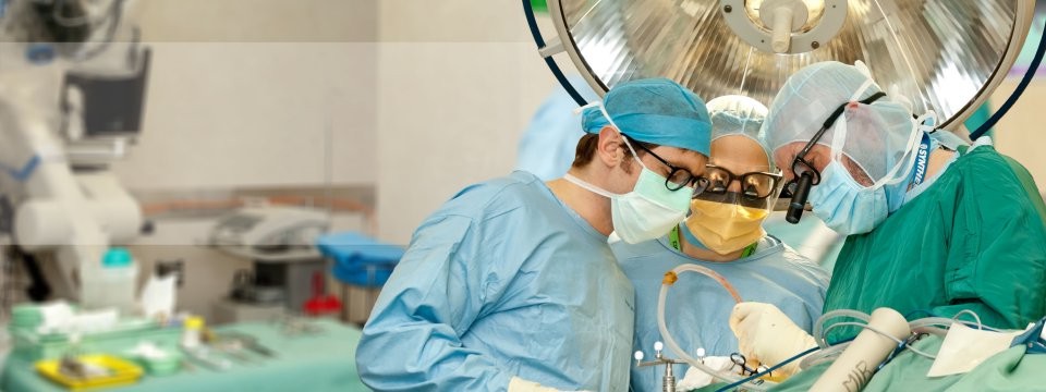 Royal Prince Alfred Hospital - Image 3