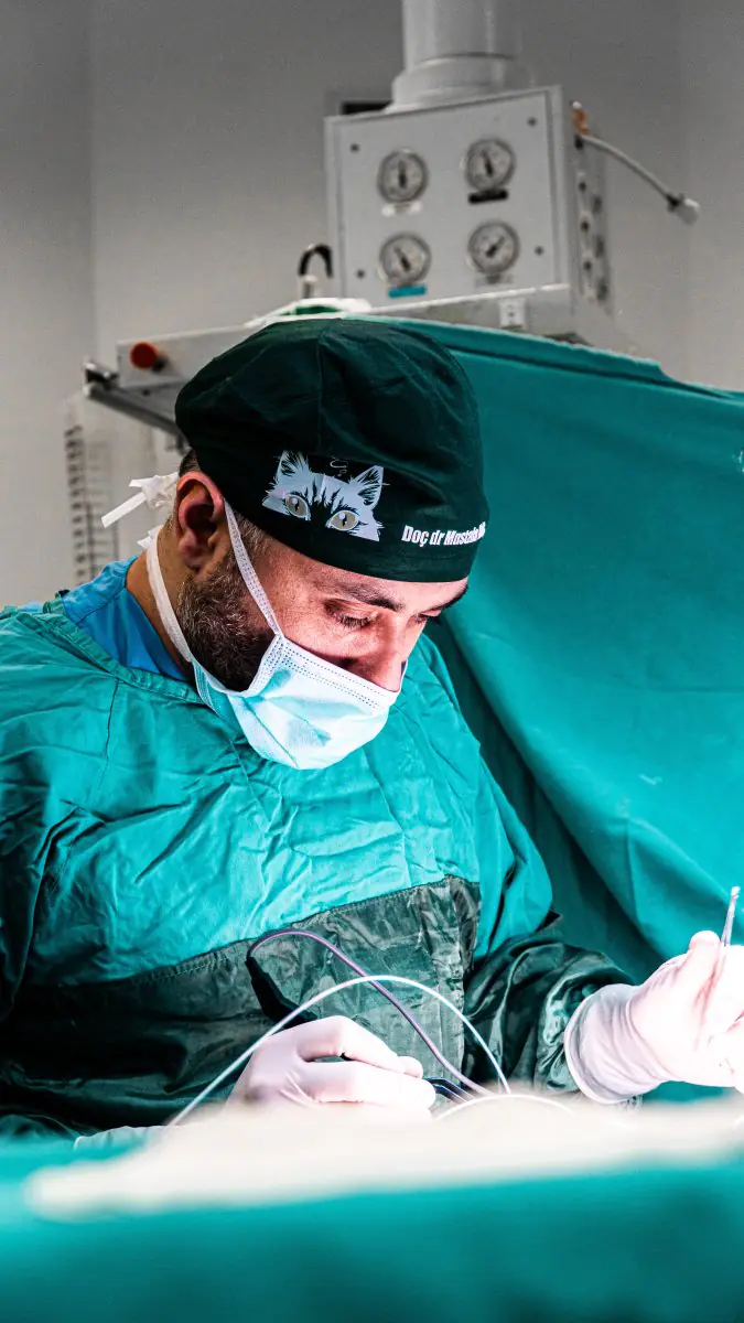 Dr. Mustafa Kılıç Clinic - Image 1