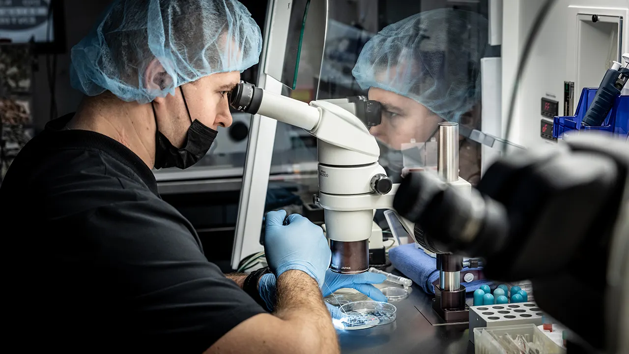 Melbourne IVF Clinic - Image 3