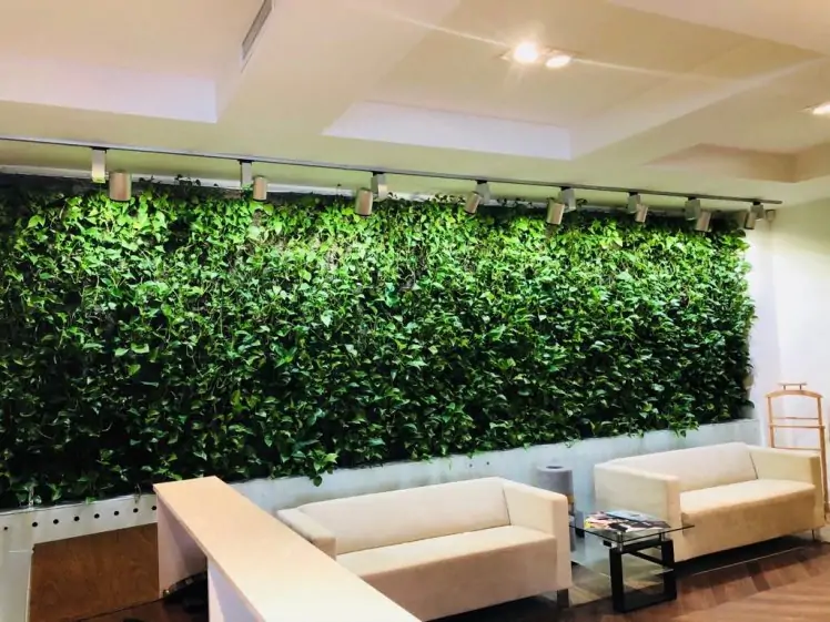 Ukrainian Academy of Plastic Surgery - Image 1