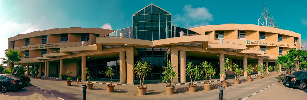 Dar Al Fouad Hospital - Image 1