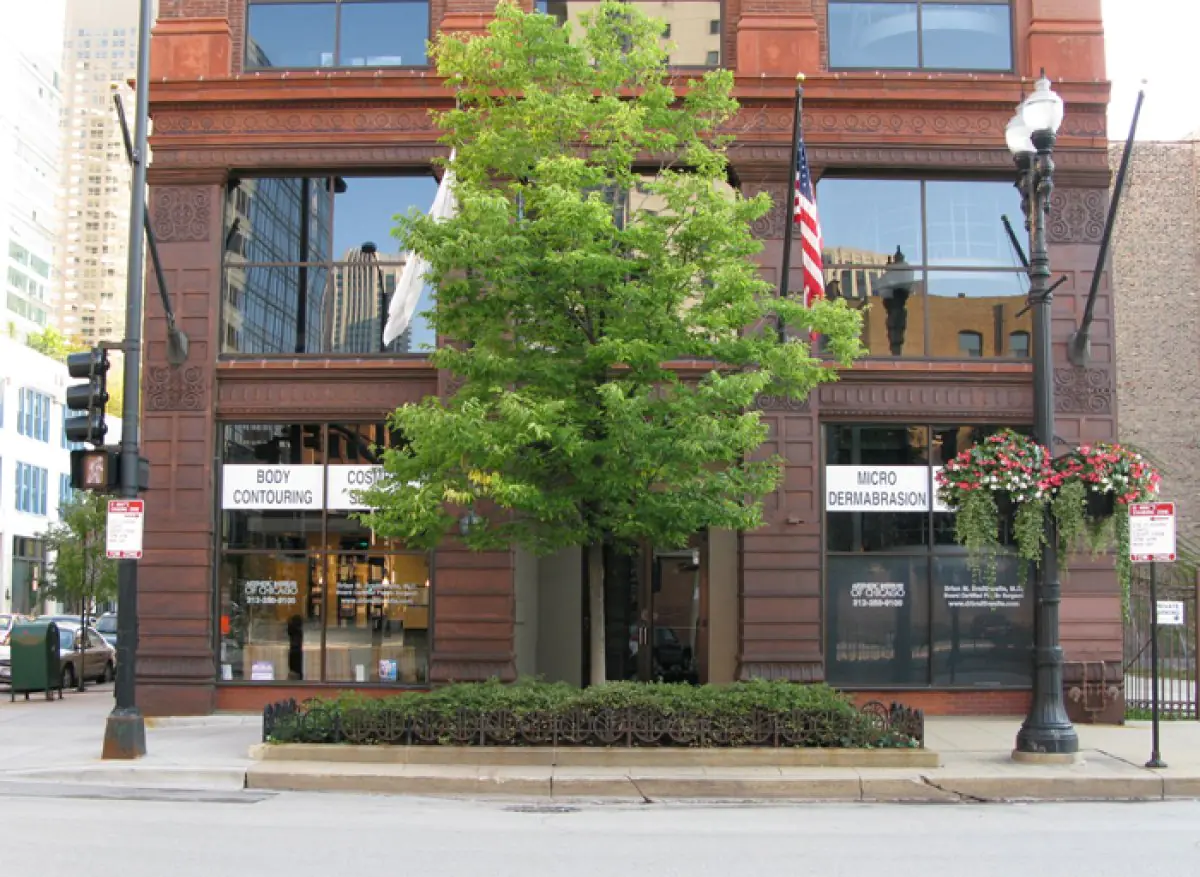 The Aesthetic Institute of Chicago - Brian M. Braithwaite - Image 1