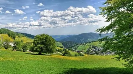 Heart Center Bad Krozingen - Image 3