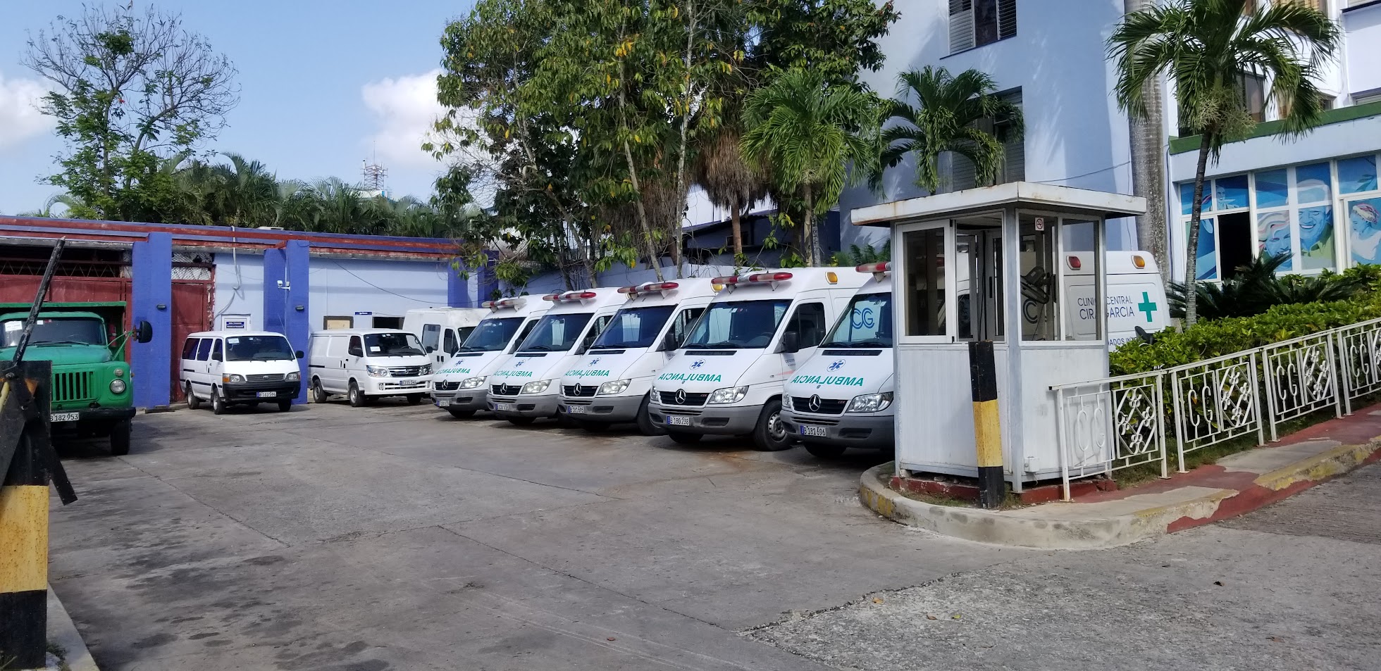 Cira Garcia - Image 3