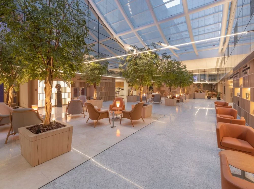 Albert Einstein Israelite Hospital - Image 2