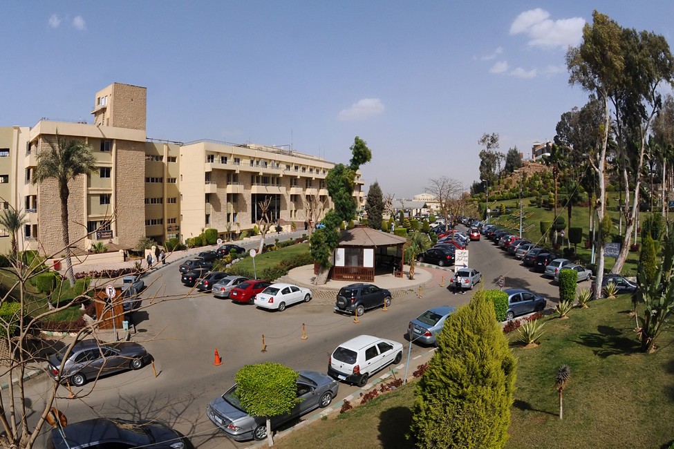 Arab Contactors Medical Centre - Image 1