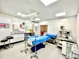 Artistic Talent of Cosmetic Surgeon Dr. Hamza - Image 2