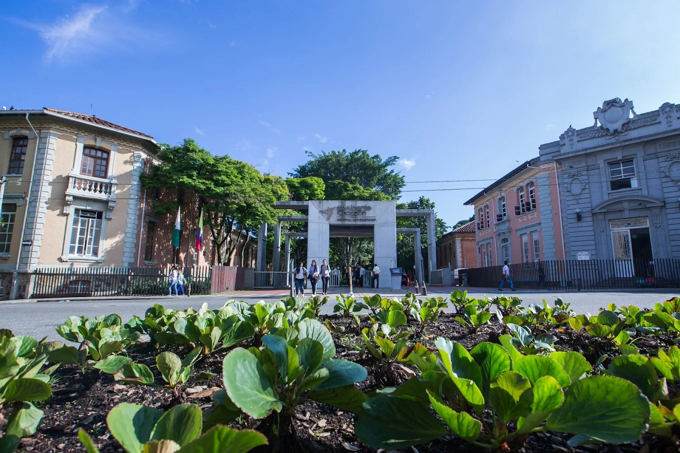 Hospital Univ. San Vicente Fundación - Image 2