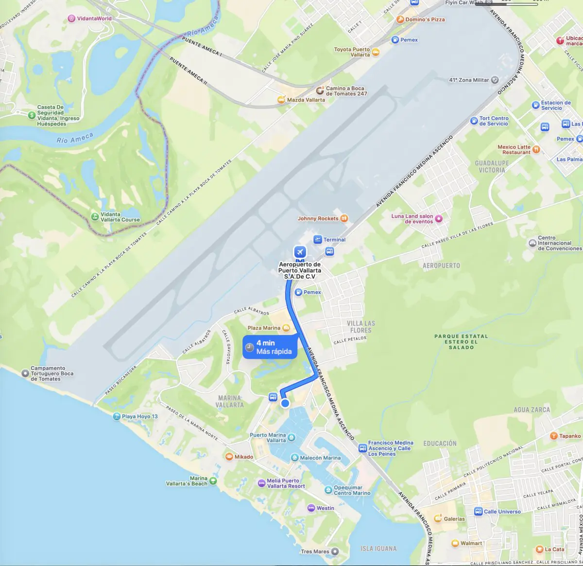 Immunotherapy Regenerative Medicine - Image 3