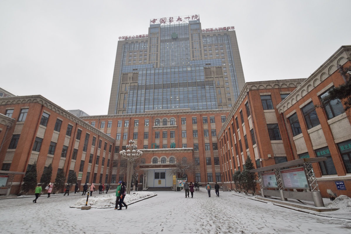 The First Hospital of China Medical Univ. - Image 1