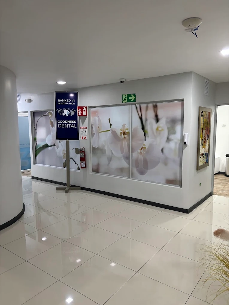 Goodness Dental - Image 3