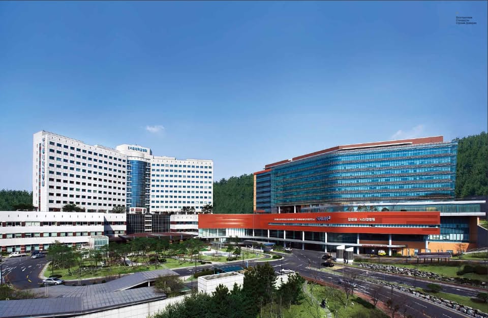 Seoul National University Bundang Hospital - Image 1