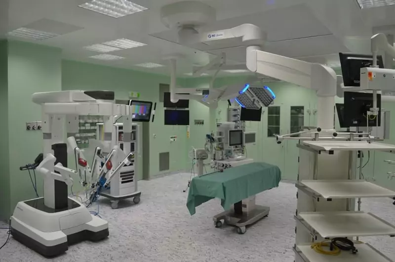 Na Homolce Hospital, Prague - Image 3