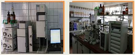 Theodor Bilharz Research Institute — Cairo - Image 1