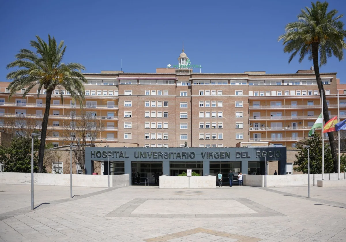 Hospital Universitario Virgen del Rocío - Image 2