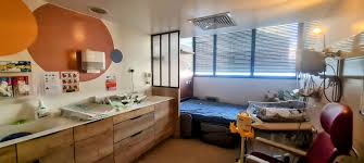 Centre Hospitalier Universitaire de Nantes - Image 3