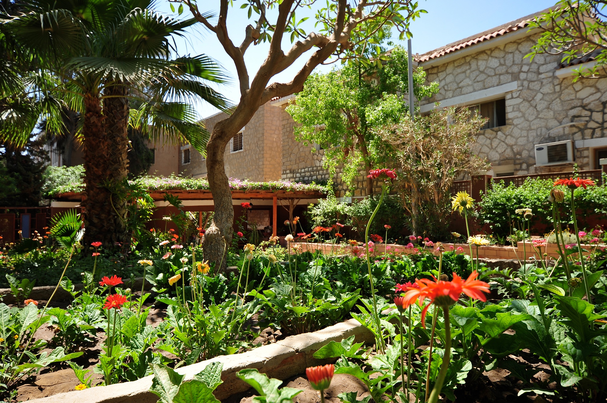 The Behman Hospital, - Image 2