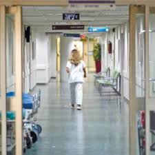 Meir Medical Center - Image 3