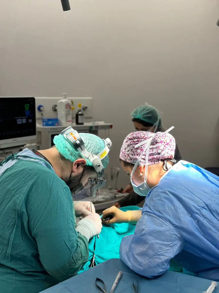 Associate Professor M. Derda Ozer DERDA SAGLIK HIZMETLERI  - Image 2