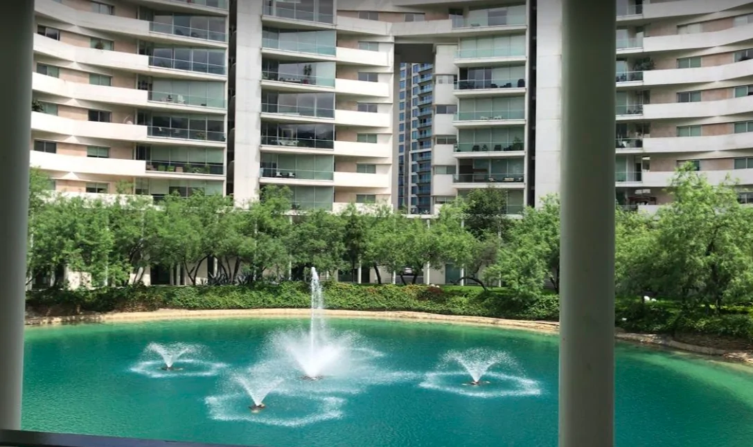 Hair In 1 Day Monterrey - Image 2