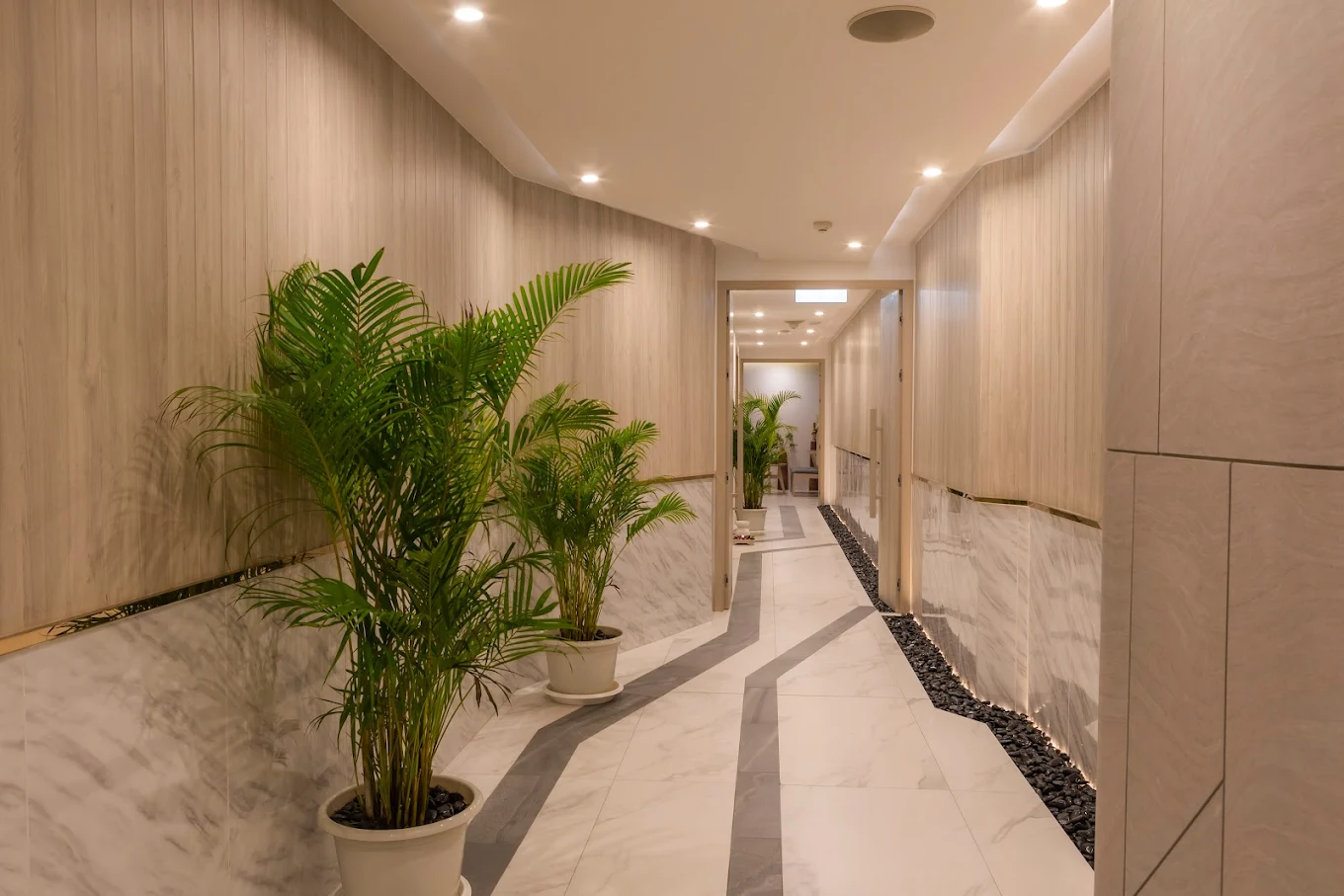 Plenary Wellness - Image 3