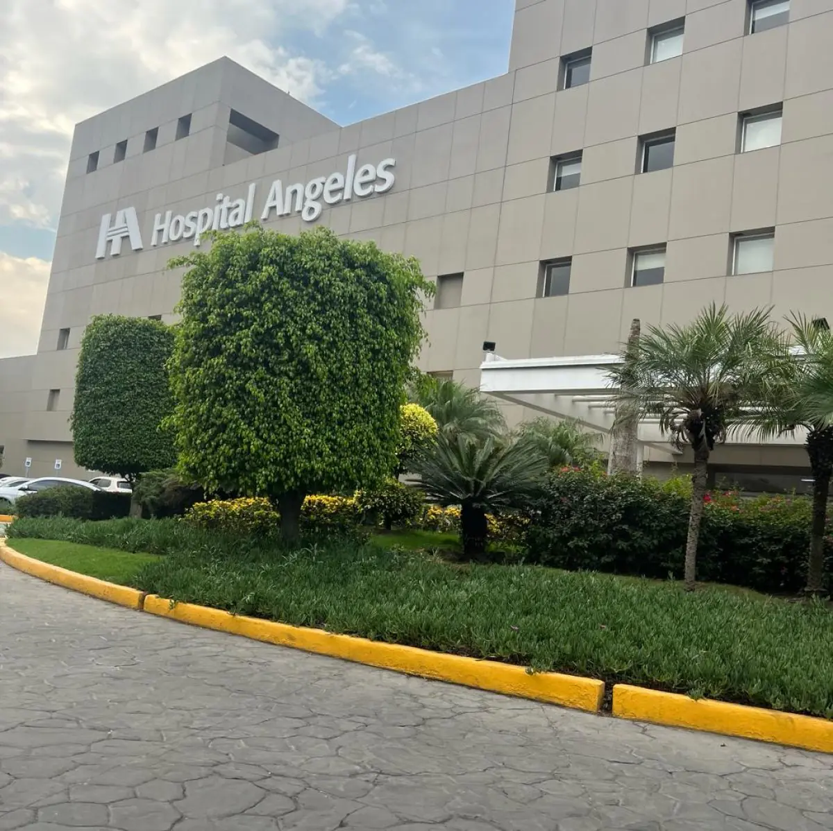 Allermedica - Image 3