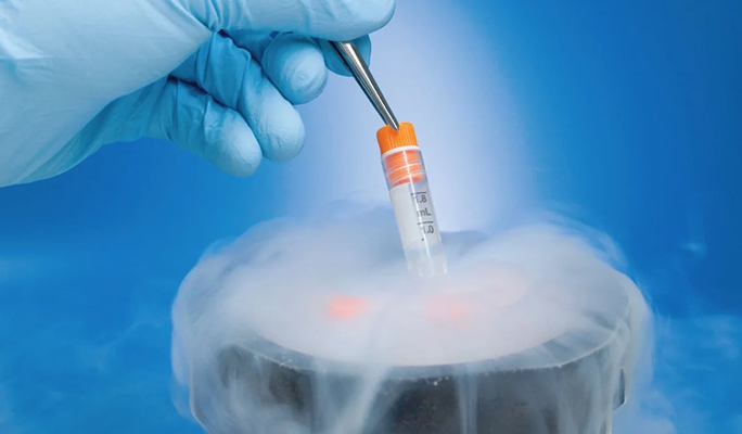 Frozen Embryo Transfer Cycle