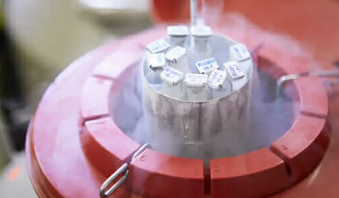 Semen Freezing