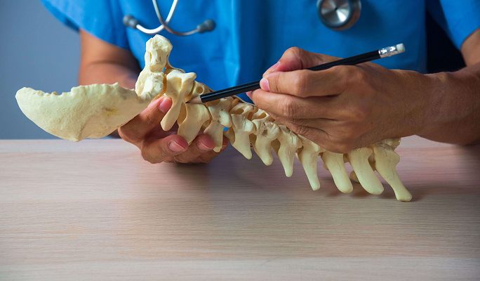 Transverse lumbar interbody fusion (TLIF) with PPF