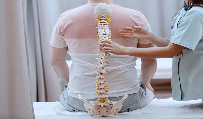 Prosthetic Disc Nucleus (PDN)