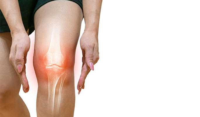 Cartilage Regeneration Stem Cell Therapy