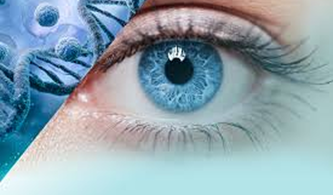 Stem Cell Treatment for Eye Diseases