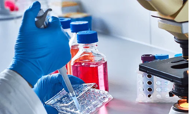 Stem Cell Treatment for Idiopathic Encephalopathy