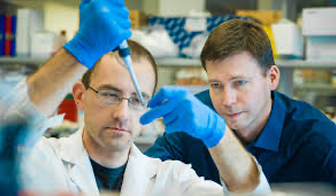 Stem Cell Treatment for Diabetes