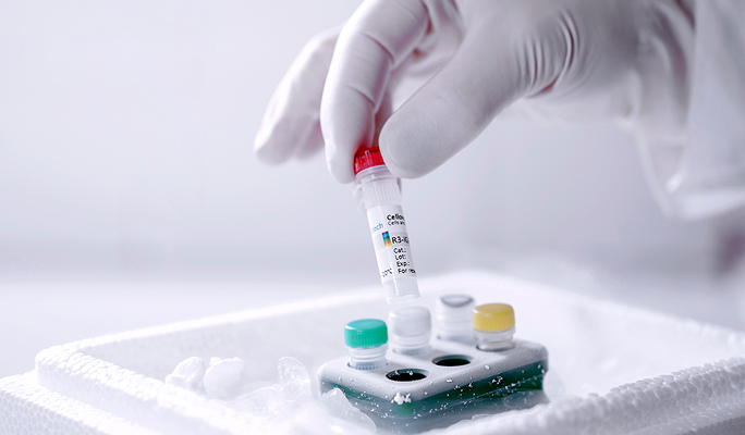 Epithelial Stem Cells