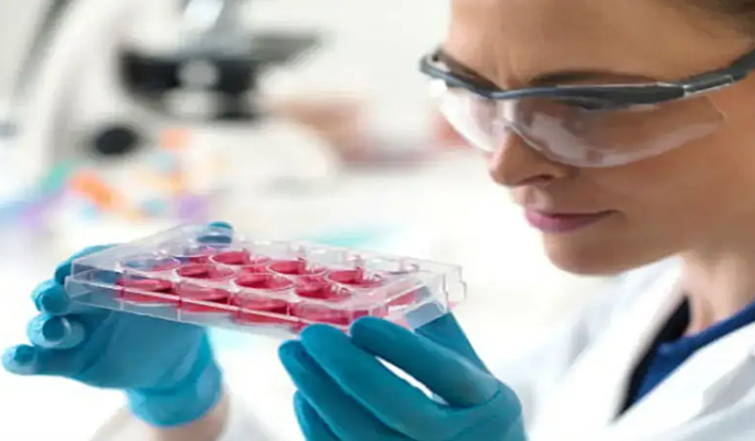 Stem Cell Therapy for Diabetic Retinopathy