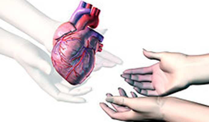 Heart Transplant