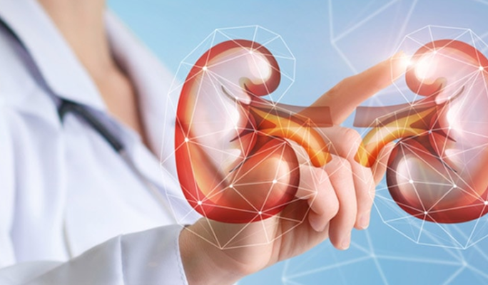 Kidney Transplant