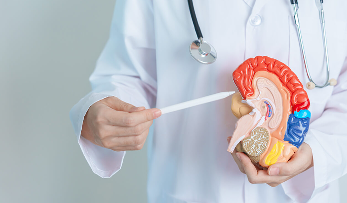 Kidney Transplantation Surgery